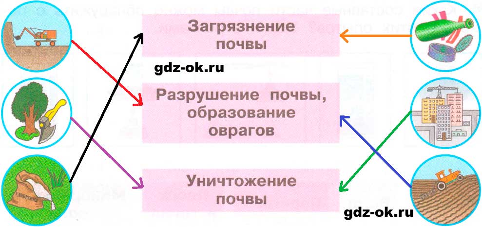 ГДЗ, решение номера 7 страница 30 рабочая тетрадь часть 1 по окружающему миру 3 класс Плешаков 2023-2025