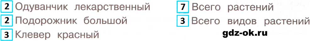 ГДЗ, решение номера 2 страница 31 рабочая тетрадь часть 1 по окружающему миру 3 класс Плешаков 2023-2025