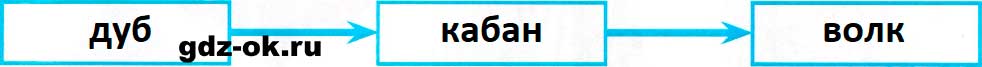 ГДЗ, решение номера 4 пункт а страница 45 рабочая тетрадь часть 1 по окружающему миру 3 класс Плешаков 2023-2025