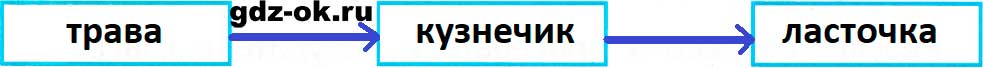 ГДЗ, решение номера 4 пункт в страница 45 рабочая тетрадь часть 1 по окружающему миру 3 класс Плешаков 2023-2025