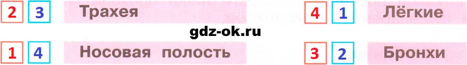ГДЗ, решение номера 2 страница 66 рабочая тетрадь часть 1 по окружающему миру 3 класс Плешаков 2023-2025