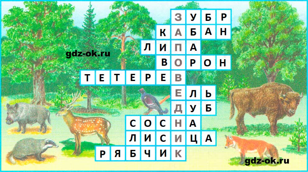 ГДЗ, решение номера 5 страница 11 рабочая тетрадь часть 1 по окружающему миру 3 класс Плешаков 2023-2025