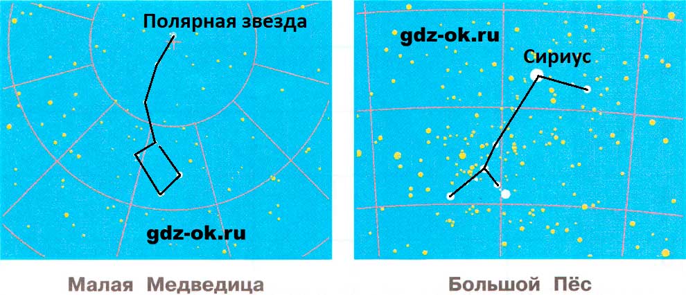ГДЗ, решение номера 2 страница 15 рабочая тетрадь часть 1 по окружающему миру 3 класс Плешаков 2023-2025