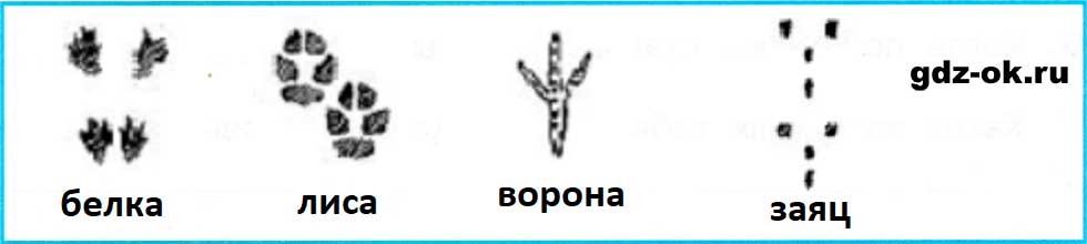 ГДЗ, решение номера 5 страница 8 рабочая тетрадь часть 1 научный дневник по окружающему миру 3 класс Плешаков 2023-2025
