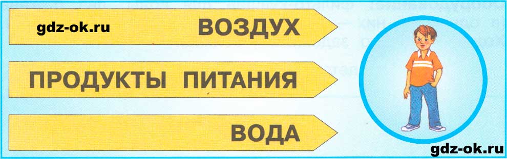 ГДЗ, решение номера 1 пункт 2 страница 17 рабочая тетрадь часть 2 по окружающему миру 3 класс Плешаков 2023-2025