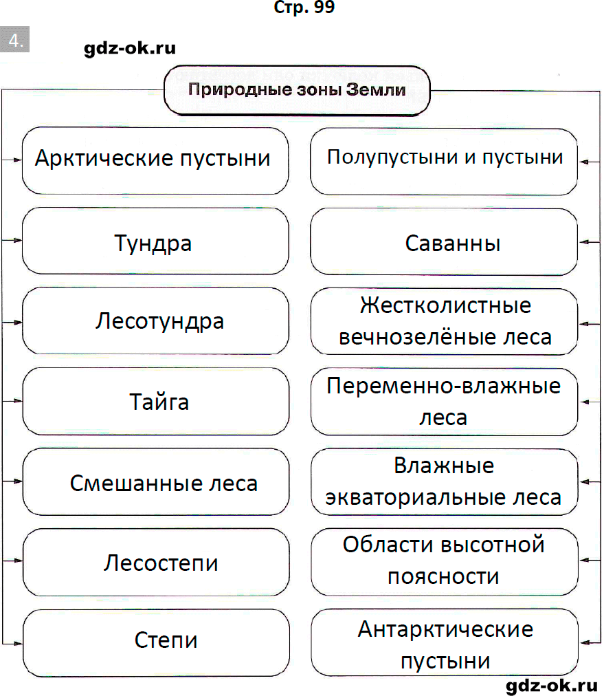 Решение заданий со страницы 99 рабочая тетрадь из ГДЗ по биологии 5 класс Пасечник с ракушкой