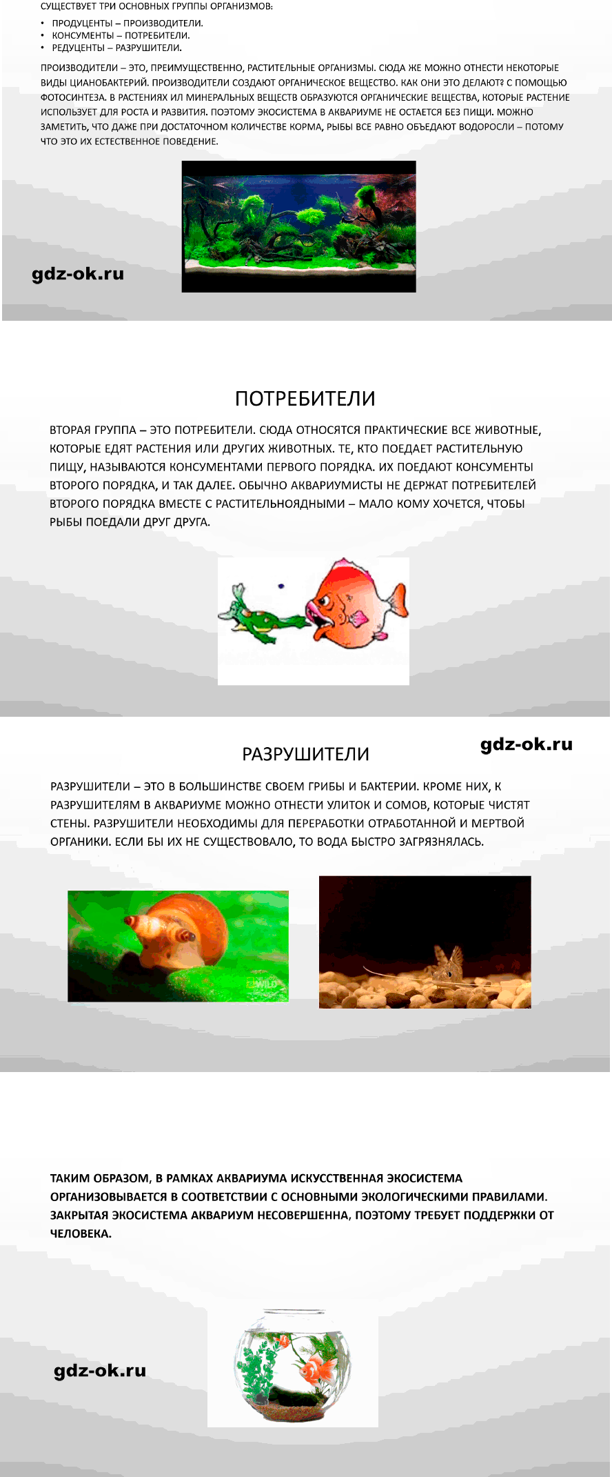 Решение заданий со страницы 143 учебник из ГДЗ по биологии 5 класс Пасечник с ракушкой - фрагмент 4