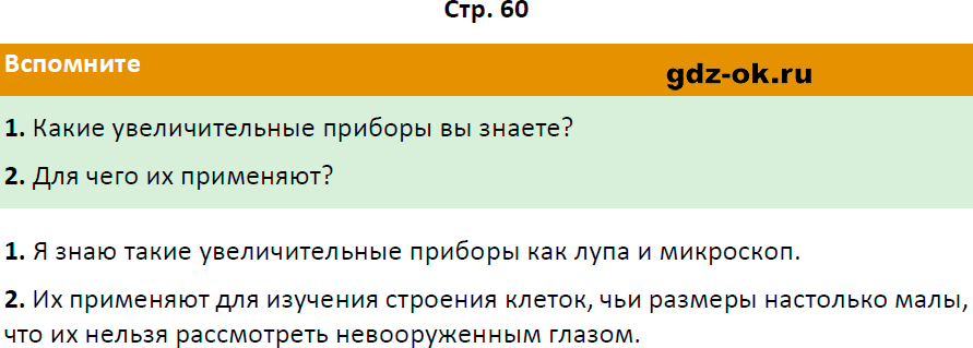Решение заданий со страницы 60 учебник из ГДЗ по биологии 5 класс Пасечник с ракушкой