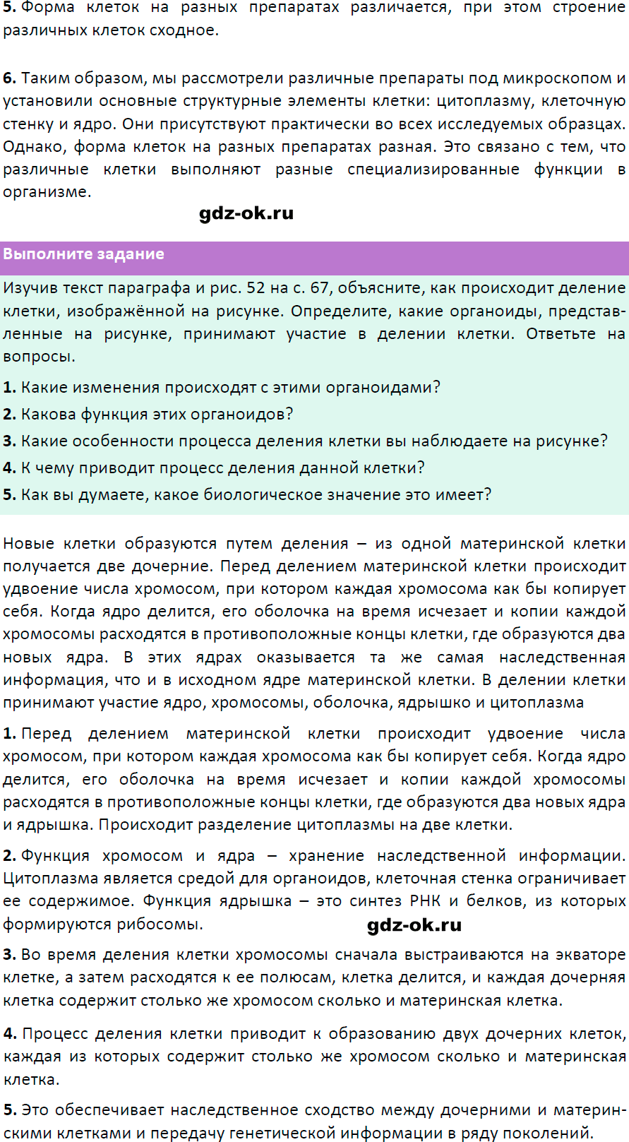Решение заданий со страницы 68 учебник из ГДЗ по биологии 5 класс Пасечник с ракушкой - фрагмент 3