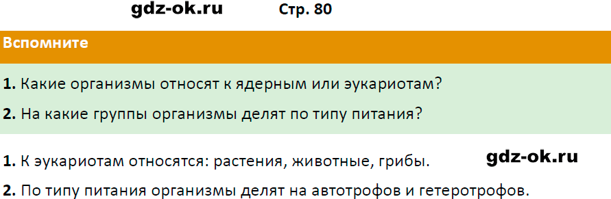 Решение заданий со страницы 80 учебник из ГДЗ по биологии 5 класс Пасечник с ракушкой
