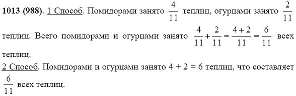 Задание номер 1013 из ГДЗ по математике 5 класс Виленкин, Жохов, Чесноков