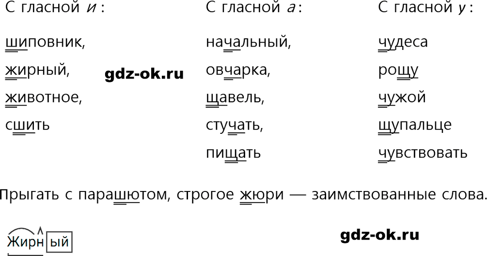 Упражнение 24 из ГДЗ по русскому языку 5 класс Ладыженская, Баранов 2023-2024