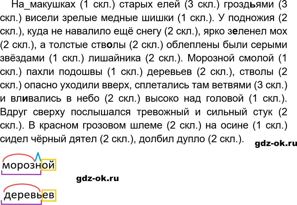 Упражнение 48 из ГДЗ по русскому языку 5 класс Ладыженская, Баранов 2023-2024