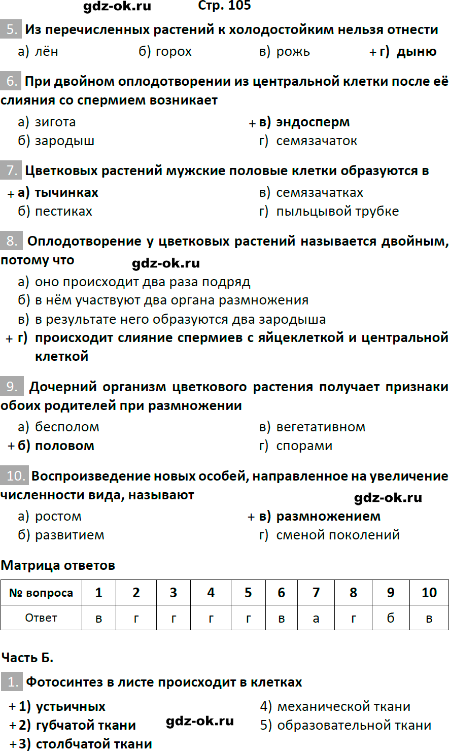 Решение заданий со страницы 105 рабочая тетрадь из ГДЗ по биологии 6 класс Пасечник с ракушкой