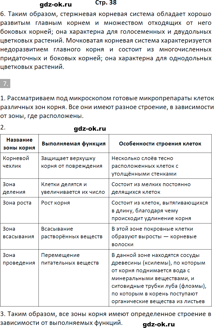 Решение заданий со страницы 38 рабочая тетрадь из ГДЗ по биологии 6 класс Пасечник с ракушкой