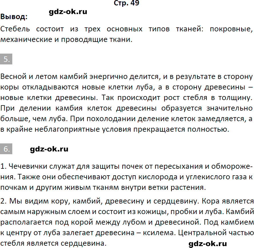 Решение заданий со страницы 49 рабочая тетрадь из ГДЗ по биологии 6 класс Пасечник с ракушкой