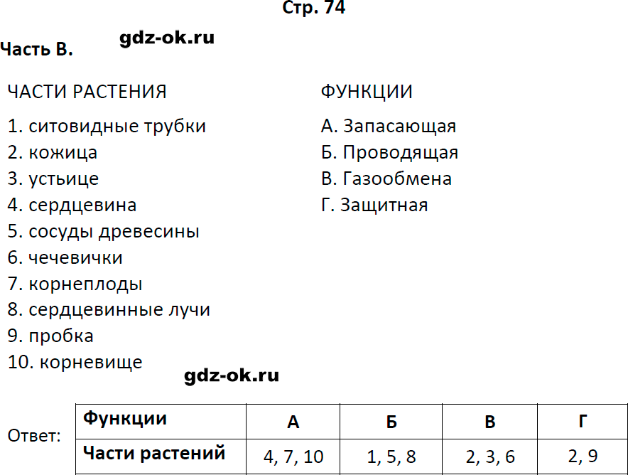Решение заданий со страницы 74 рабочая тетрадь из ГДЗ по биологии 6 класс Пасечник с ракушкой