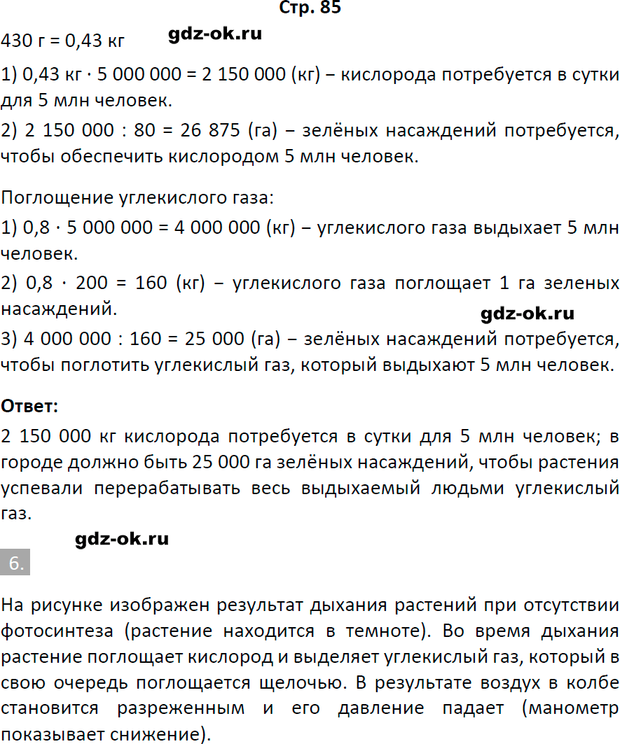 Решение заданий со страницы 85 рабочая тетрадь из ГДЗ по биологии 6 класс Пасечник с ракушкой