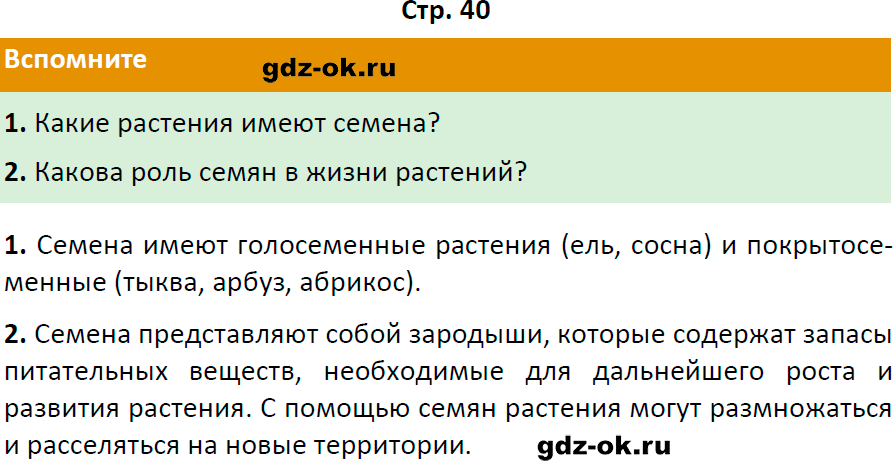 Решение заданий со страницы 40 учебник из ГДЗ по биологии 6 класс Пасечник с ракушкой
