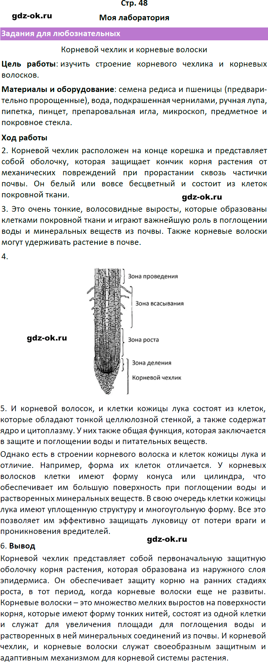Решение заданий со страницы 48 учебник из ГДЗ по биологии 6 класс Пасечник с ракушкой - фрагмент 1