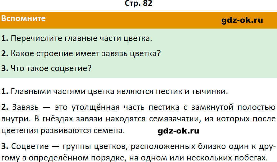 Решение заданий со страницы 82 учебник из ГДЗ по биологии 6 класс Пасечник с ракушкой