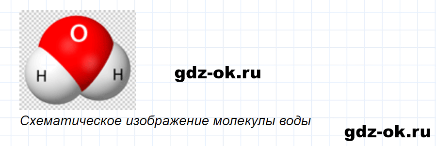 ГДЗ, ответ на вопрос 4 к параграфу 8 из учебника по физике 7 класс Перышкин 2013-2019