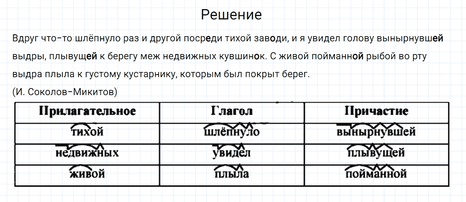 Упражнение номер 241 из ГДЗ по русскому языку 7 класс Разумовская, Львова